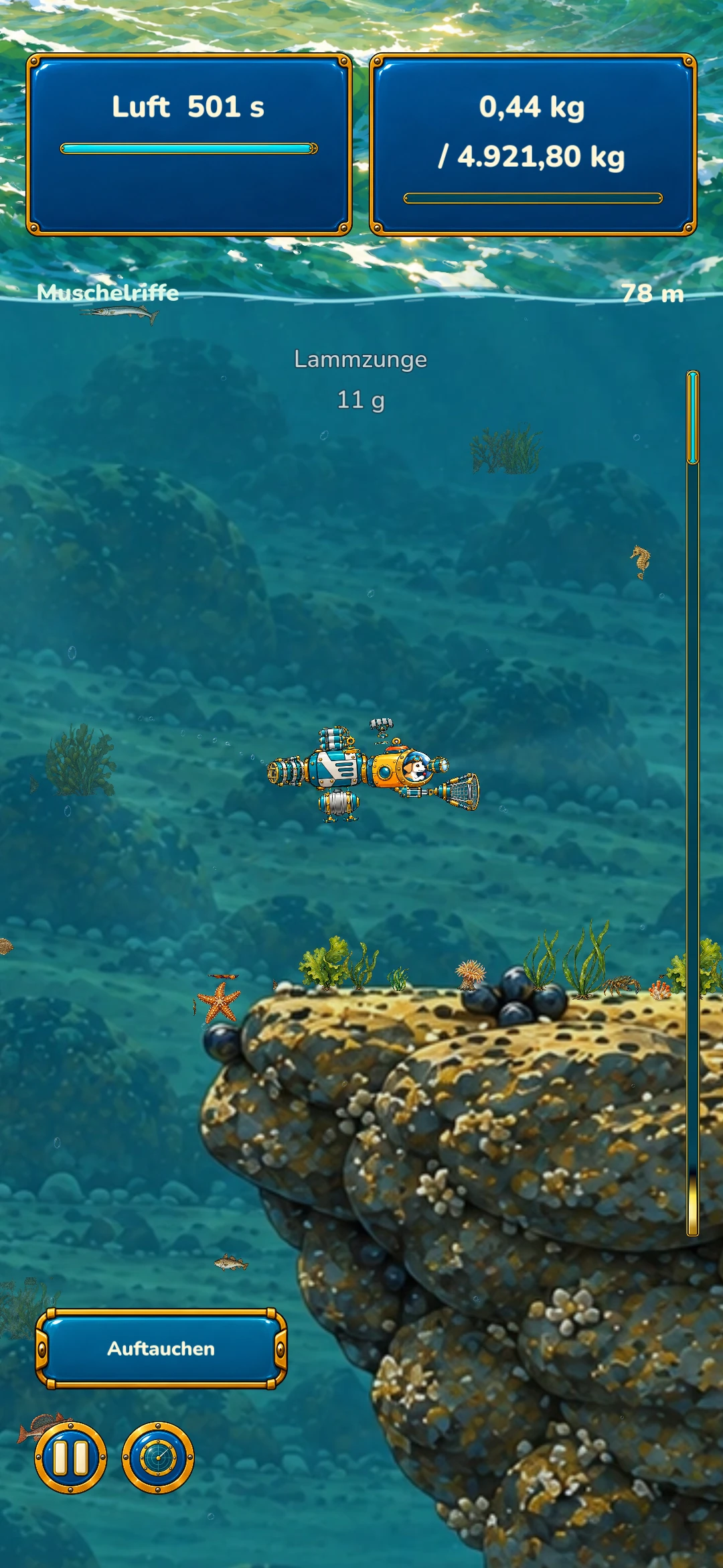 Pico the Diver – Nordsee · Muschelriffe