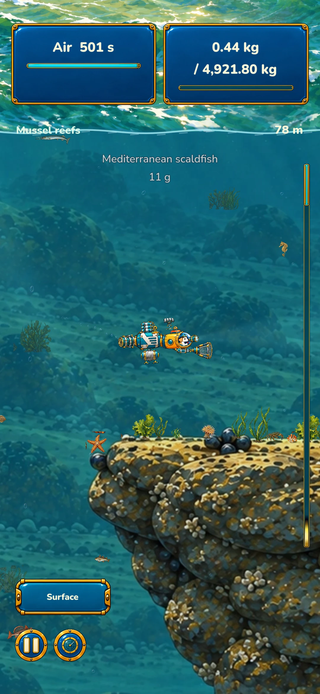 Pico the Diver – North Sea · Mussel reefs